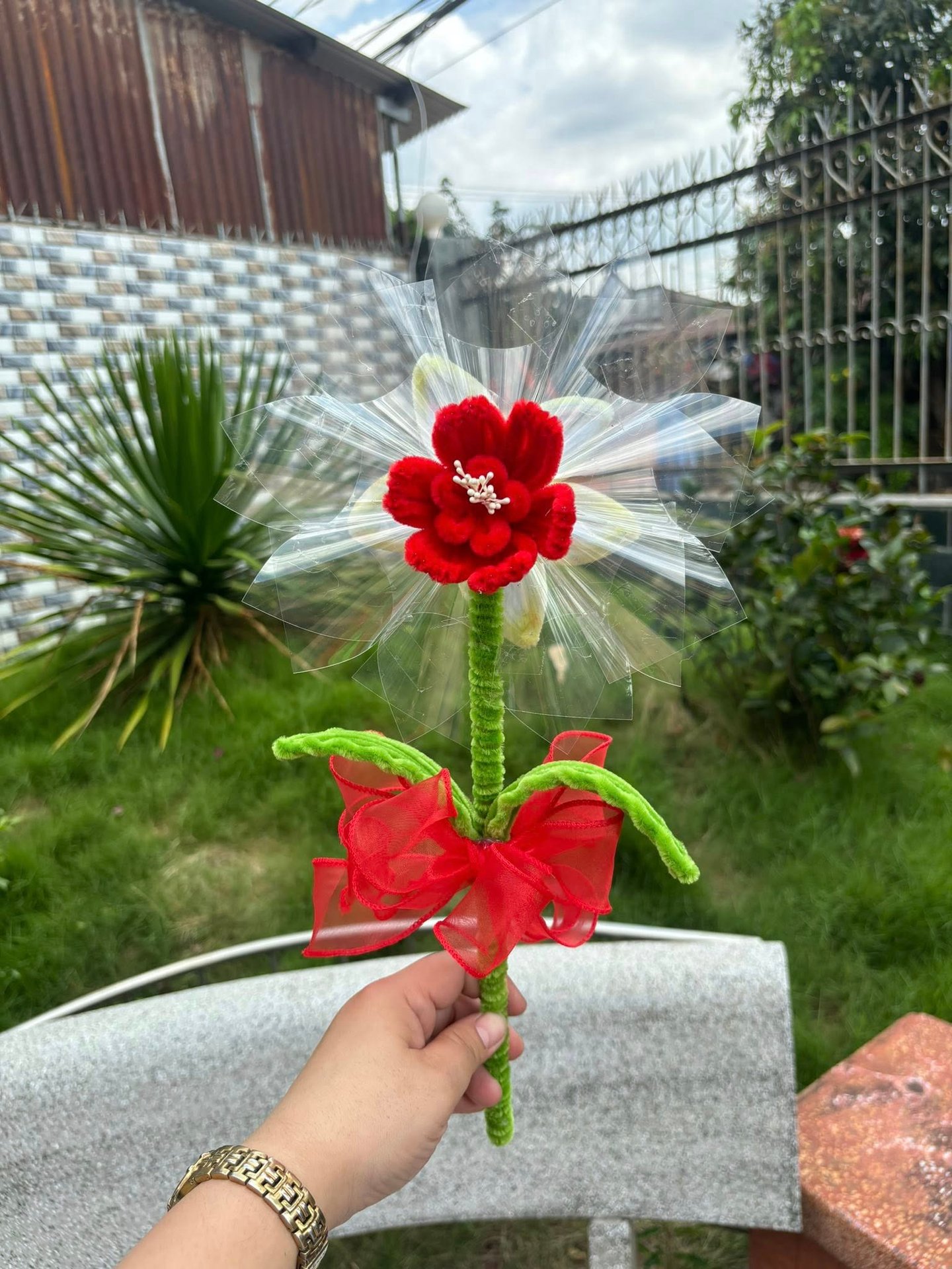Mẫu 12