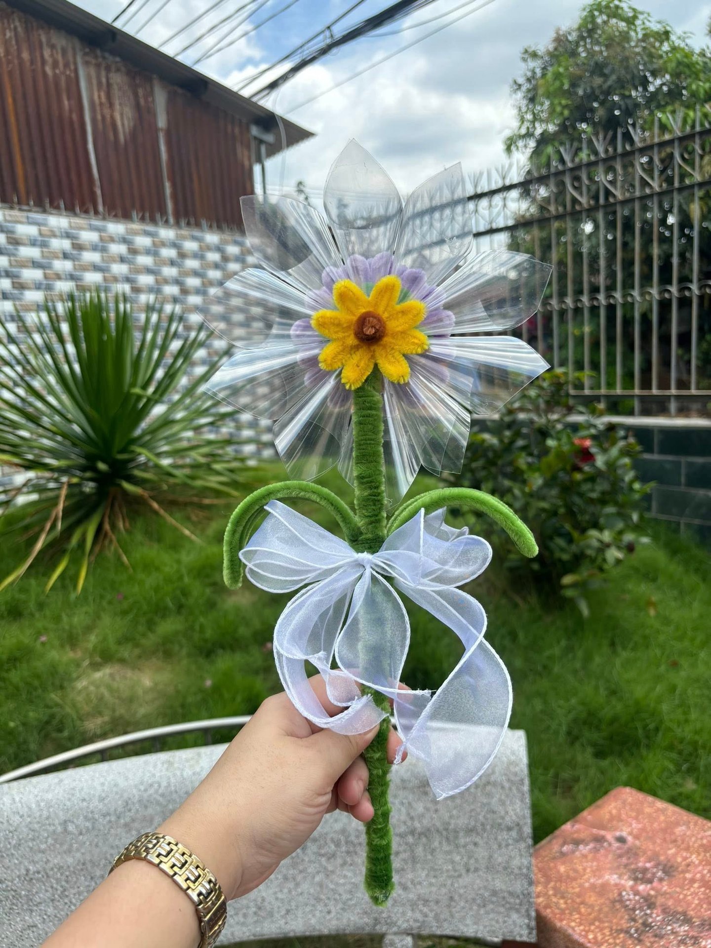 Mẫu 13