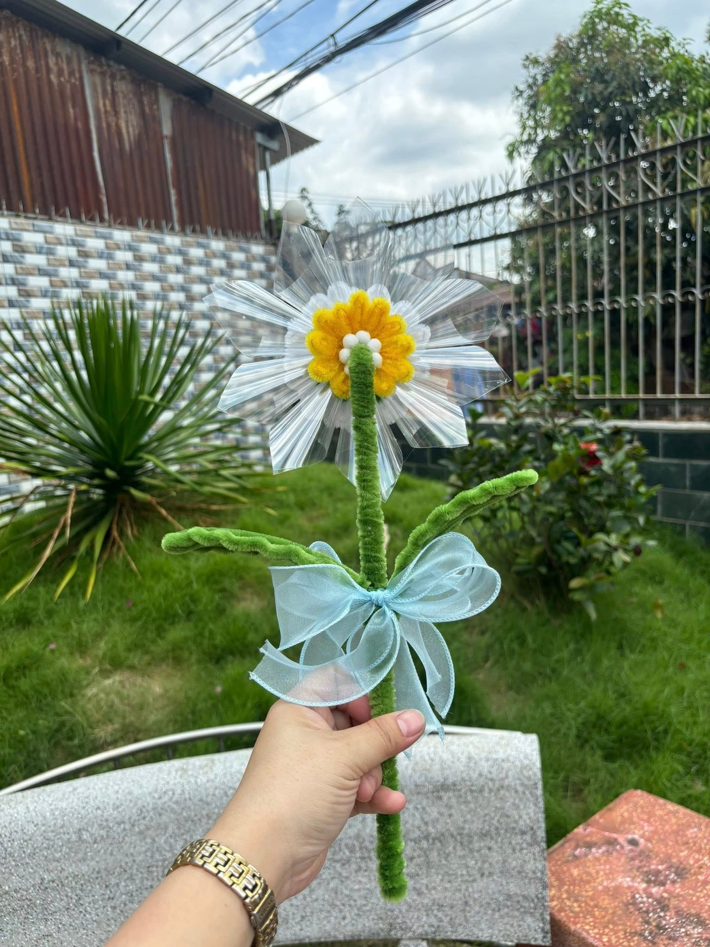 Mẫu 16