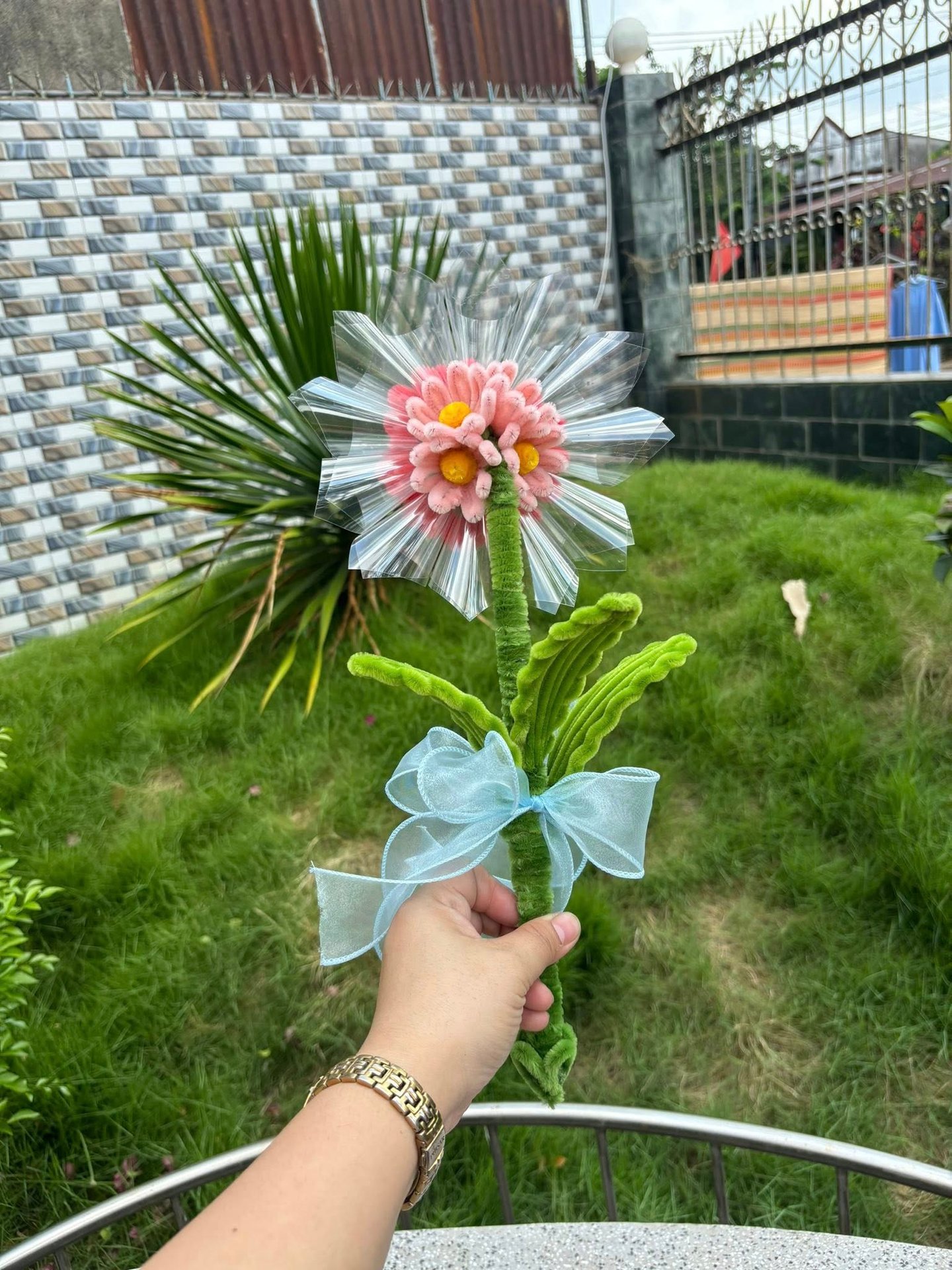 Mẫu 17