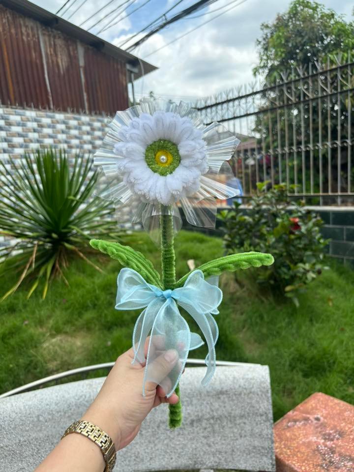 Mẫu 22