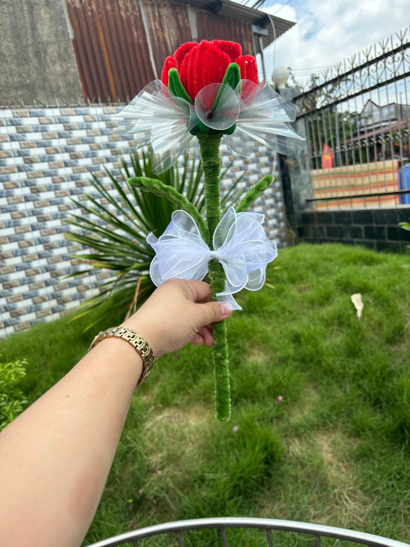 Mẫu 24