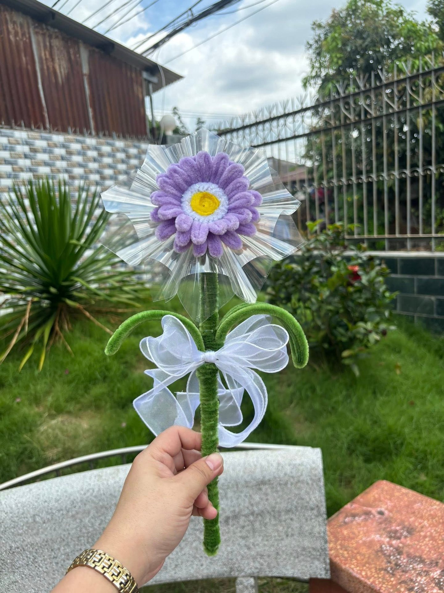 Mẫu 25