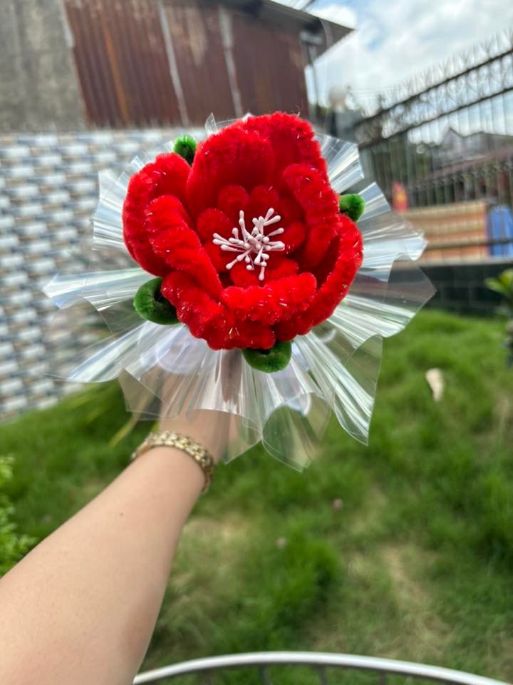 Mẫu 26