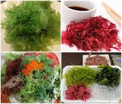 Rong biển tươi Nhật