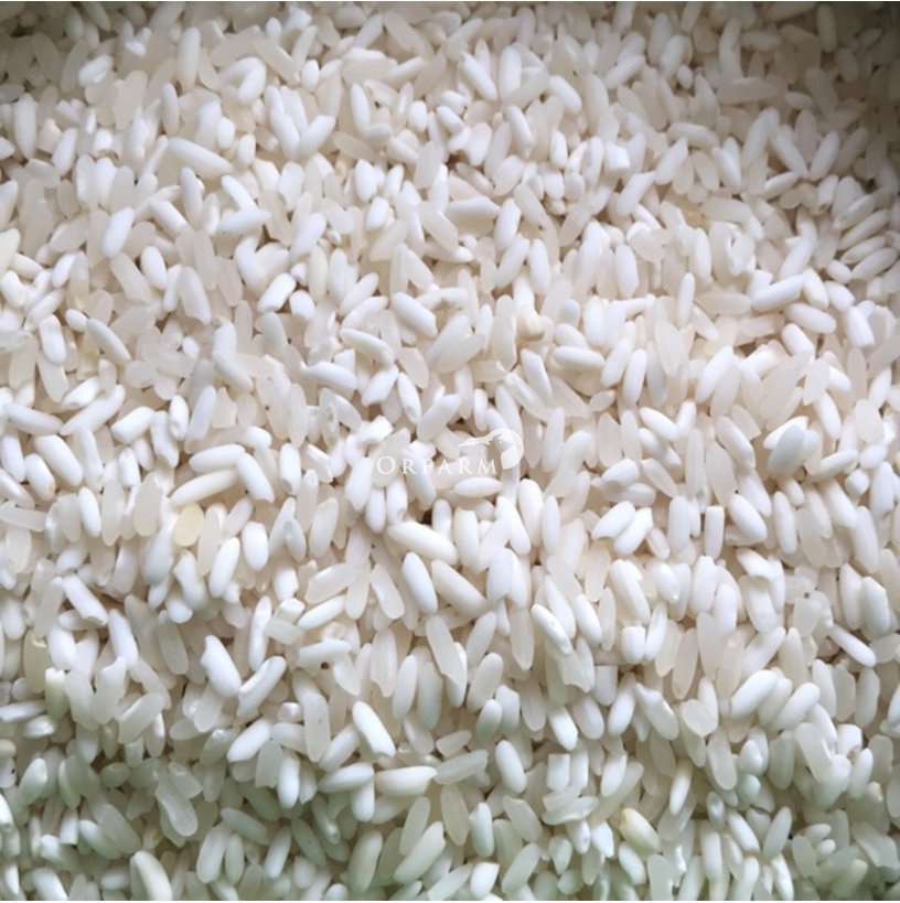 BB - Nếp Nương hữu cơ