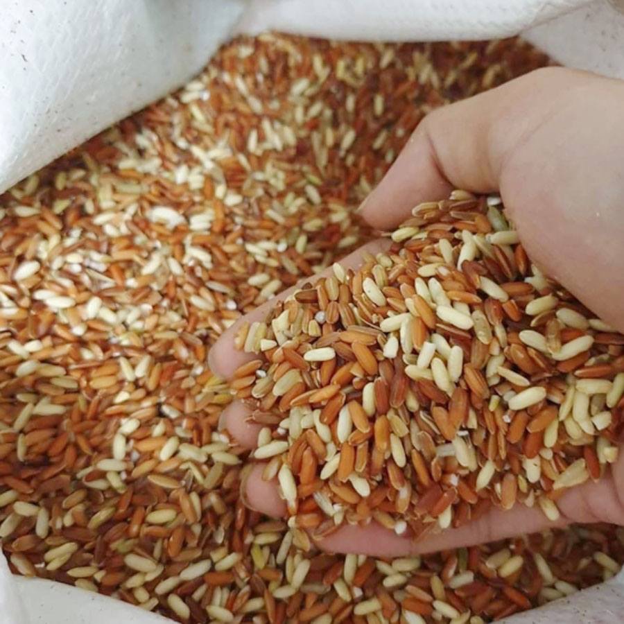 Gạo lứt dẻo Điện Biên