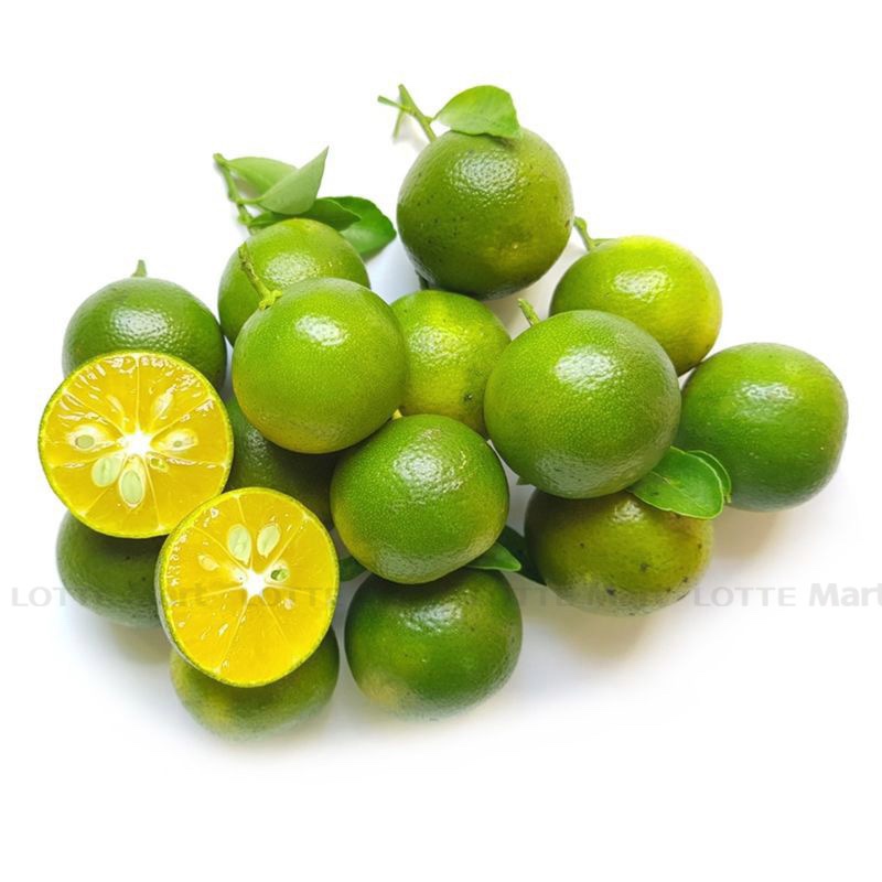 AN - Tắc