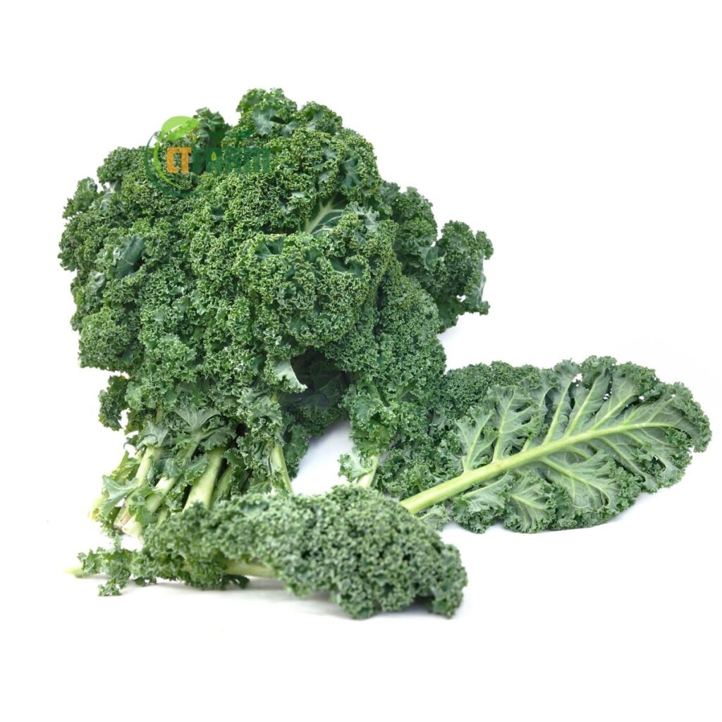 CTF - Kale hữu cơ
