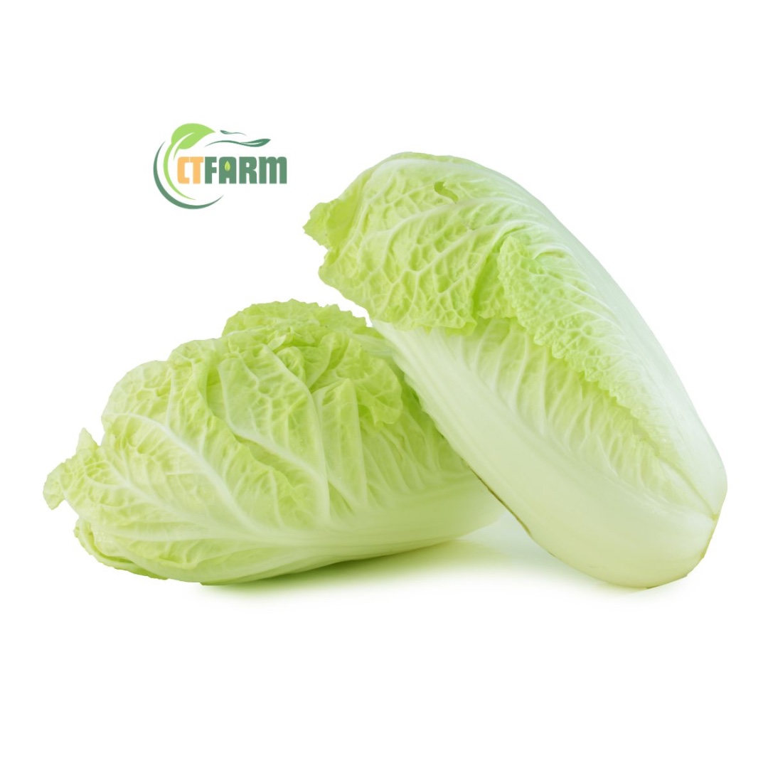 CTF - Cải Thảo hữu cơ