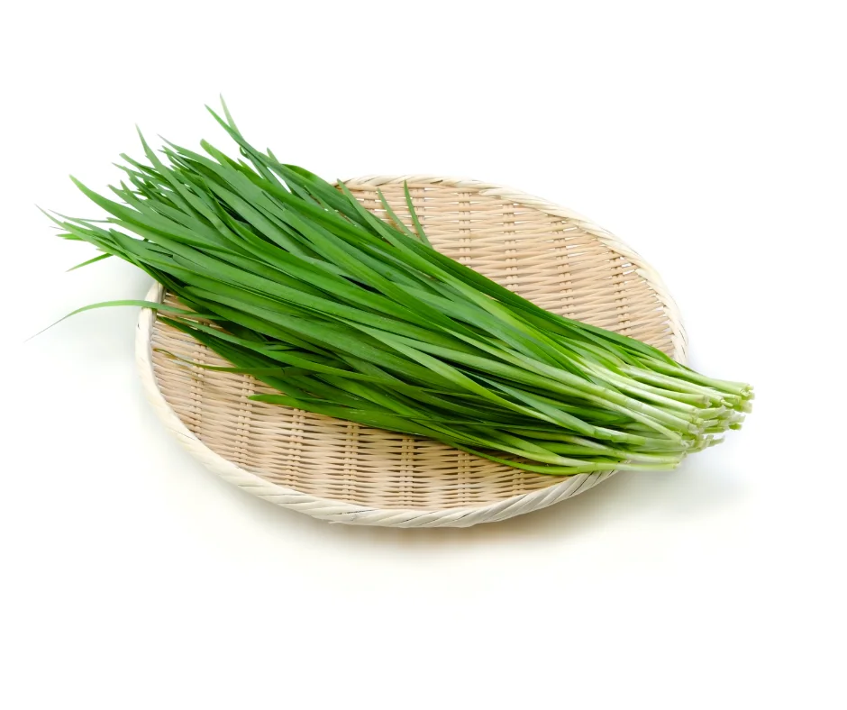 CTF - Hẹ hữu cơ